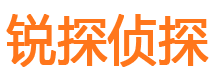 内丘市侦探公司